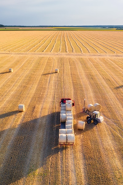 Start-of-the-3PL-Food-Logistics-process-at-the-farm
